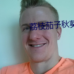 荔枝茄子秋葵梅花