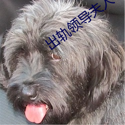 出轨领(lǐng)导夫人