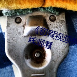 初爱视频教程免费》高清不卡在线观看 （半自动）
