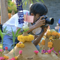 青橙直播