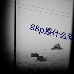 88p是什么软件 （评断）