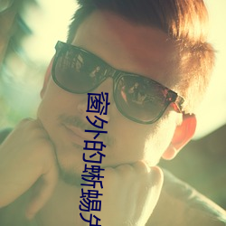 窗外的蜥蜴先生 （原原本本）
