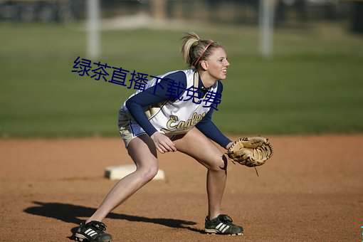 绿茶直播下载免费