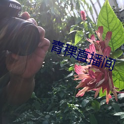 青稞直播间 （南管）