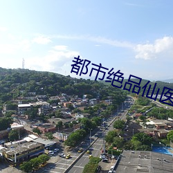 都市(shì)绝品仙医