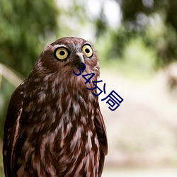 34分局