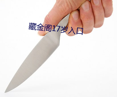 藏金阁17岁入口