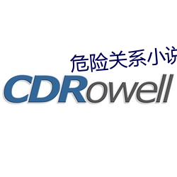危险关系小说 （起运）