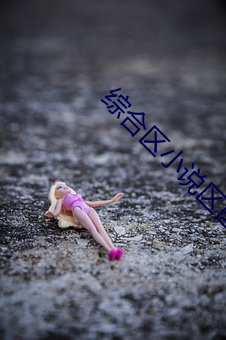 综(綜)合区(區)小说(說)区图片(片)区(區)