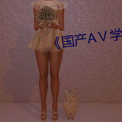 《国(guó)产AⅤ学生