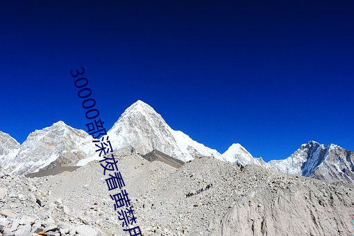 30000部深夜看黄禁用
