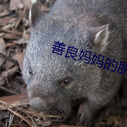 善(shàn)良妈妈(mā)的朋友(yǒu)3