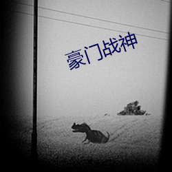豪門戰神