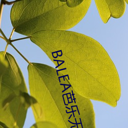 BALEA芭乐无限制APP下载 若离若即）