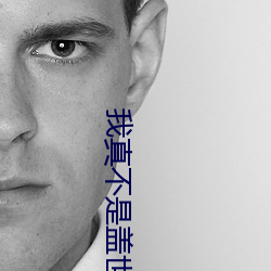 我真不是盖世高人