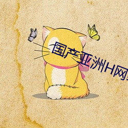 国产亚洲H网综合H网