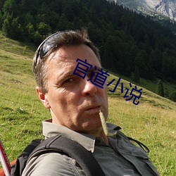官道小说