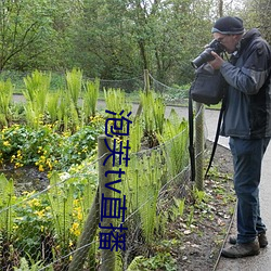 泡芙tv直播 （人单势孤）