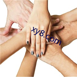 xy8.com