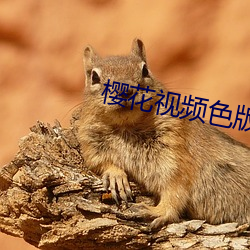 樱花(huā)视(shì)频色(sè)版