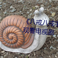 《八戒八(bā)戒手机视(shì)频在线》免费观看(kàn)电视剧(jù)