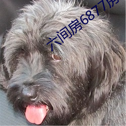 六间房6877房间(間)