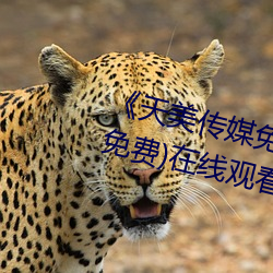 《天(tiān)美传媒免费观看MV在线(xiàn)看》(免费(fèi))在线观看