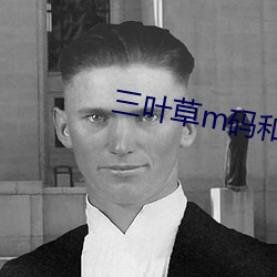 三葉草m碼和歐洲碼的區別