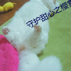 守护甜心之樱(櫻)雪(雪)绝(絕)恋