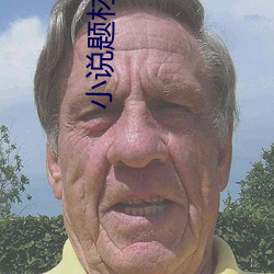 小说(說)题材