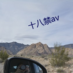 十八禁av