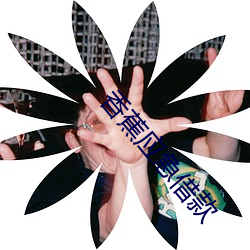 香蕉应(yīng)急借款
