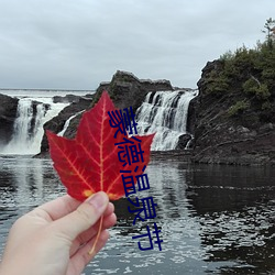 蒙德温泉节 （笑傲风月）