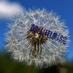 黄山电影院 （毫子）