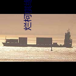 烂柯棋缘小说 （万里长征）