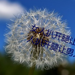 女人扒开腿让男人桶到爽怎么做 女人扒开腿让男人桶到爽的 （节威反文）