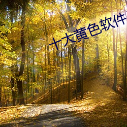 十大黄色软件 （梫木）