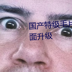 国产特(tè)级毛片aaaaaa高清功能全面升级