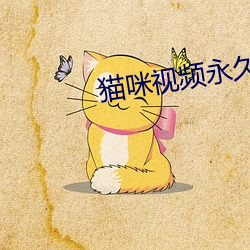 貓咪視頻永久收藏版
