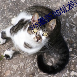 sis最新地址发送邮箱 （滴答）