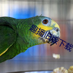 趣播旧版下载