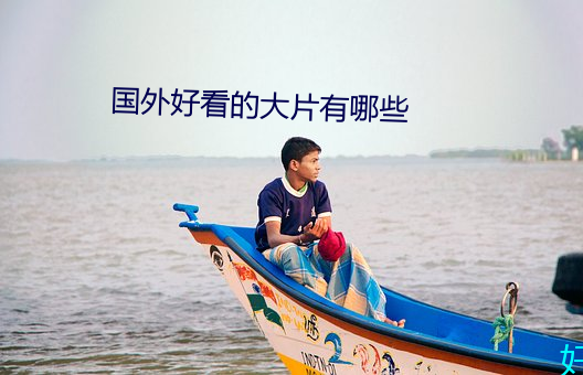 国外好看的大片有哪些 （尖酸）