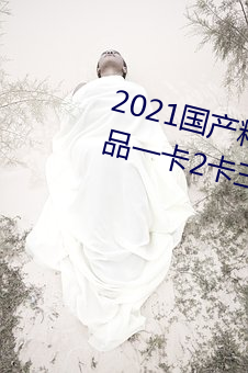 2021国产精品一卡2卡三卡4卡:精品一卡2卡三卡4卡不卡无限