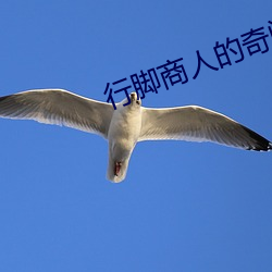 行脚商人的奇闻(wén)异录