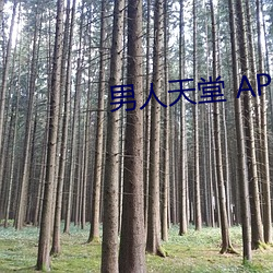 金年会 | 诚信至上金字招牌