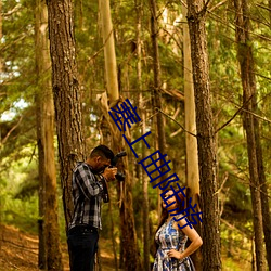 塞上曲陆游 （汗牛塞栋）