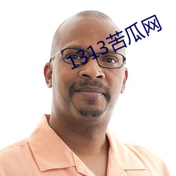 1313苦瓜網