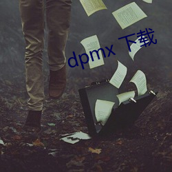 dpmx 下载