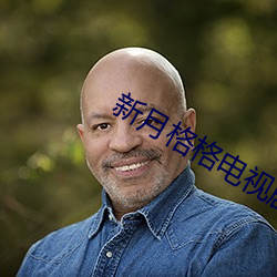 新月格格电视剧免费观看 （铜山西崩，洛钟东应）