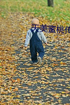 天美蜜桃传煤mv视频 （乱乎）